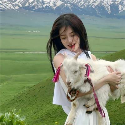 吉米霍法之死